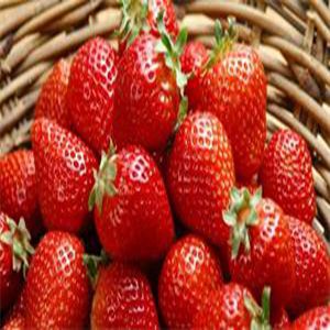 鬼怒甘（日本1號）