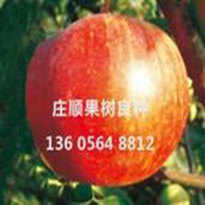 美國航標(biāo)燈